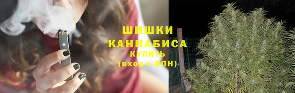 стаф Видное